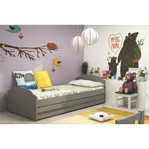 Dětská postel LILI 90x200 cm, grafitová/grafitová (Volba matrace: Pěnová matrace)