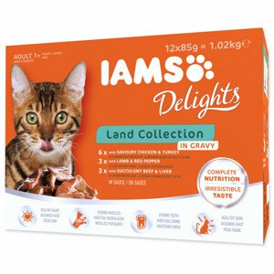 Kapsička IAMS Delights Adult suchozemské maso v omáčce multipack 1020g (12x85gr)