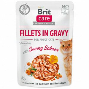 Kapsička Brit Care Cat losos, filety v omáčce 85g