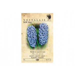 Hyacint zahradní DELFT BLUE 3ks