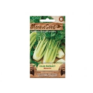 Celer řapíkatý MALACHIT, zelený 60711