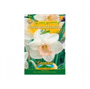 Narcis zahradní, velkokorunný SALOME 4ks