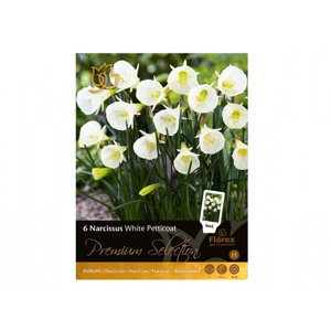 Narcis botanický WHITE PETTICOAT 6ks