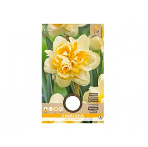 Narcis zahradní, plnokvětý PEACH COBBLER 3ks