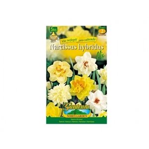 Narcis zahradní, plnokvětý, směs 5ks