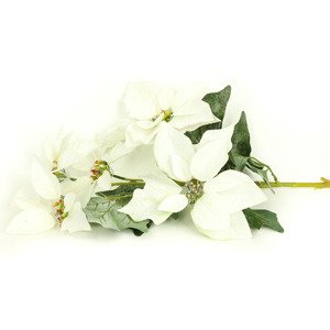 Květina umělá vazbová. Vánoční růže, poinsécie 5 květů ,barva bílá zasněžená VK-1236