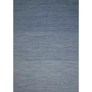 Moderní kusový koberec Rise 216.002.500, modrý Ligne Pure (Varianta: 170 x 240)