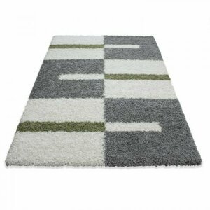 Kusový koberec Gala shaggy 2505 green (Varianta: 200 x 290 cm)