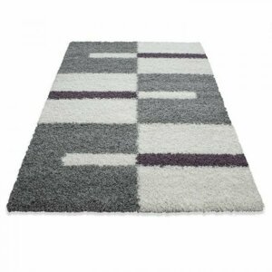 Kusový koberec Gala shaggy 2505 lila (Varianta: 200 x 290 cm)
