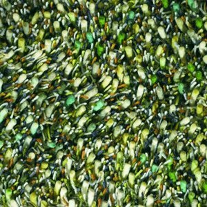Moderní vlněný kusový koberec Spring 59107, zelený Brink & Campman (Varianta: 200 x 300)