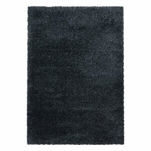 Kusový koberec Fluffy shaggy 3500 antraciet (Varianta: 200 x 290 cm)