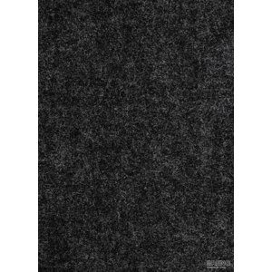 BFS Europe NV Metrážový koberec AVENUE 0900, šíře role 400 cm, Černá, role 4m