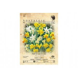 Narcis botanický, směs 25ks