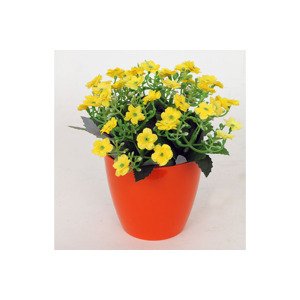 Kalanchoe umělá v květináči, žlutá barva 1-0054A-1, sada 6 ks