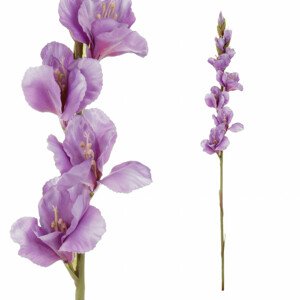 Gladiola, barva fialová.Květina umělá. KT7300-PUR