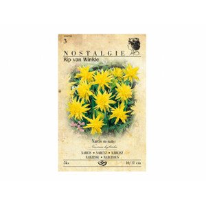 Narcis botanický RIP VAN WINKLE 5ks
