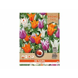 Směs PROMO tulipán liliokvětý LAYLA MIX 20ks