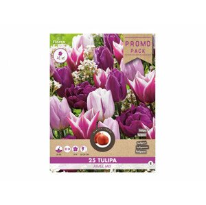 Směs PROMO tulipán triumph AIMEE 25ks