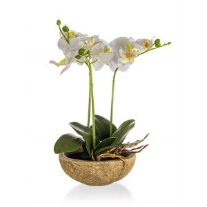Orchidej v betonovém květináči 30,5 x 17 cm, bílá