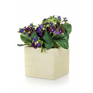 Květina umělá v papírovém květináči BEGONIA 20 x 15 cm, fialová