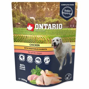 Kapsička Ontario kuře se zeleninou ve vývaru 300g