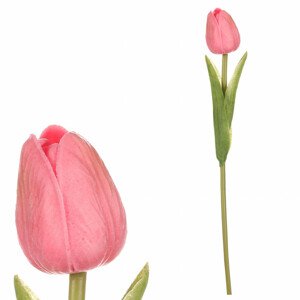 Tulipán, barva růžovo-zelená. Květina umělá pěnová. KN5112 PINK-GR, sada 24 ks