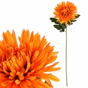 Chryzantéma, barva oranžová. KN6158-OR