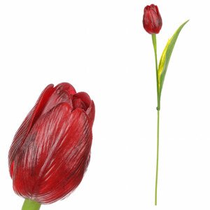 Tulipán plastový v bordó barvě. Cena za 1ks. Ve svazku 12ks. SG60104 BOR, sada 36 ks