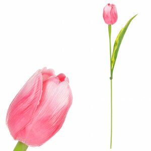 Tulipán plastový v růžové barvě. Cena za 1ks. Ve svazku 12ks. SG60104 PINK2, sada 36 ks