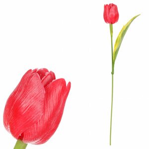 Tulipán plastový v červené barvě. Cena za 1ks. Ve svazku 12ks. SG60104 RED2, sada 24 ks