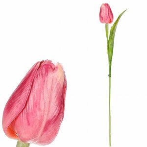 Tulipán plastový v růžové barvě. Cena za 1ks. Ve svazku 12ks. SG60104 PINK, sada 36 ks