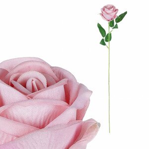 Růže, barva růžová, samet. KN7005 PINK, sada 24 ks