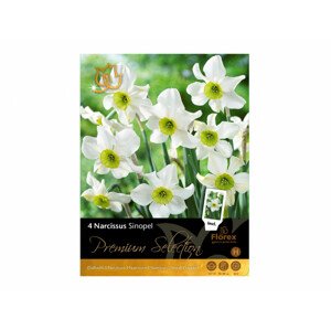 Narcis zahradní, malokorunný SINOPEL 4ks