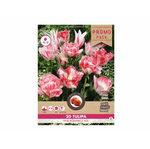 Směs PROMO tulipán PINK ROMANCE 20ks