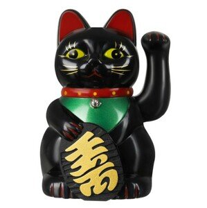 Čínská kočka - černá