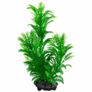 Rostlina TETRA Green Cabomba S - Akční nabídka 01.09.-17.09.2023