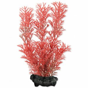 Rostlina TETRA Foxtail Red S - Akční nabídka 01.09.-17.09.2023