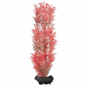 Rostlina TETRA Foxtail Red M - Akční nabídka 01.09.-17.09.2023