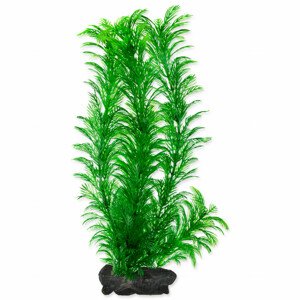 Rostlina TETRA Green Cabomba L - Akční nabídka 01.09.-17.09.2023