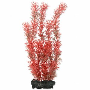 Rostlina TETRA Foxtail Red L - Akční nabídka 01.09.-17.09.2023
