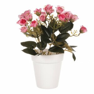 Mini růžičky v plastovém bílém obalu, barva růžová. SG7334 PINK, sada 6 ks