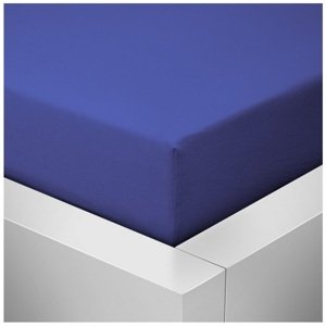 Prostěradlo Jersey Lux 160x200 cm tmavě modrá