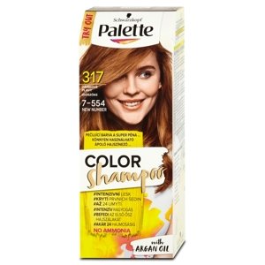 Schwarzkopf Palette Color Shampoo barva na vlasy odstín oříškově plavý 317