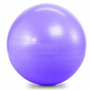 Gymnastický míč 75cm SEDCO SUPER ( Fialová      )