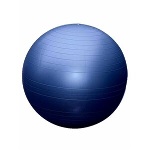 Gymnastický míč 65cm EXTRA FITBALL ( Modrá      )