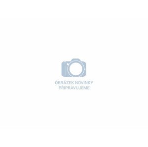 Kotouč lamelový šikmý korundový, O115mm, P36