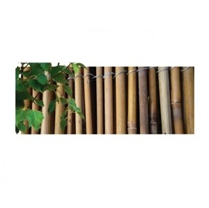Rohož bambus 1,5x3m