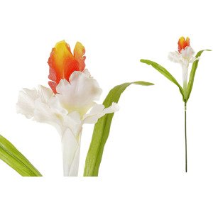 Iris, barva bílo-oranžová, umělá květina. KU4177-OR