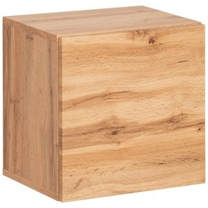 EASY, skříňka s jednou komorou (typ 06), dub wotan