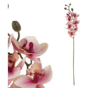Orchidej - barva světle růžová. KUM3417-PINK-LT